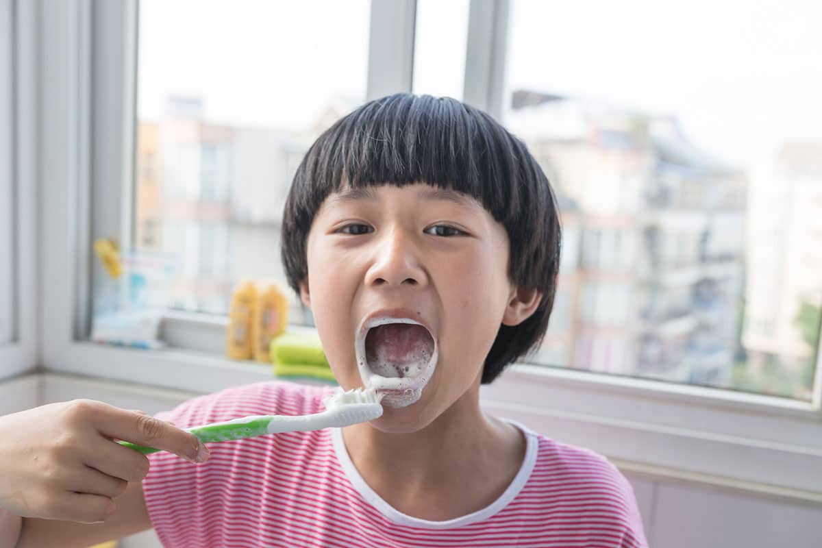 Pediatric Dentist Vs Family Dentist Which Is Best For Your Child Blog